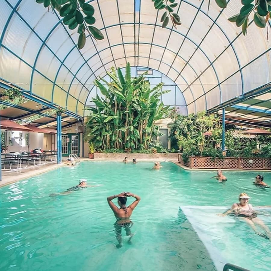 A serene indoor pool surrounded by tropical plants and people enjoying the water.
